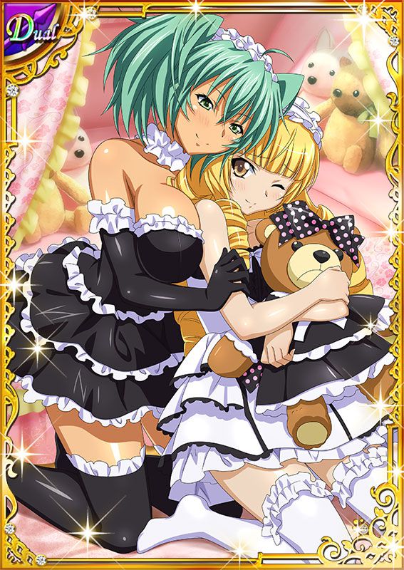 Ikkitousen Cards Coleccyion  Ryofu Housen set 354