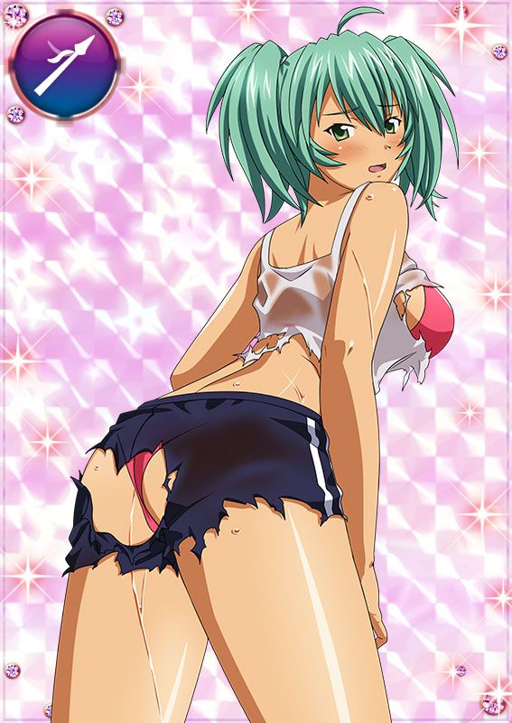 Ikkitousen Cards Coleccyion  Ryofu Housen set 356