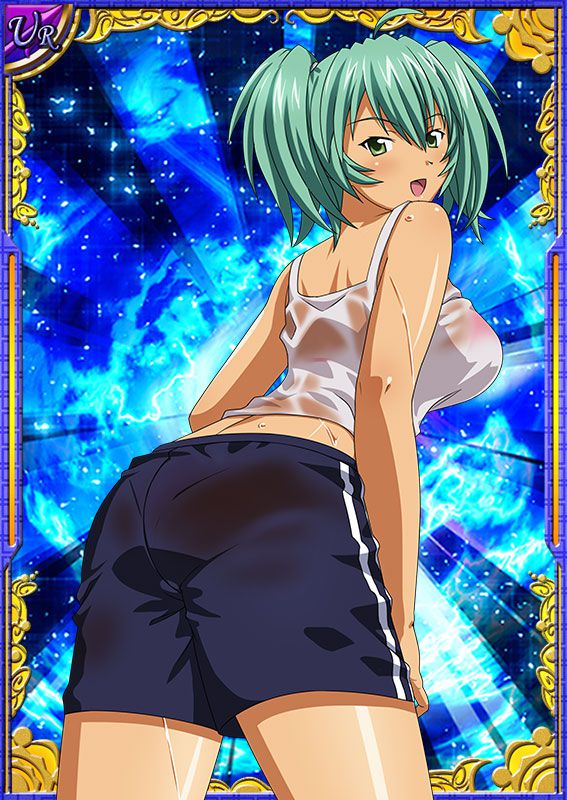 Ikkitousen Cards Coleccyion  Ryofu Housen set 357