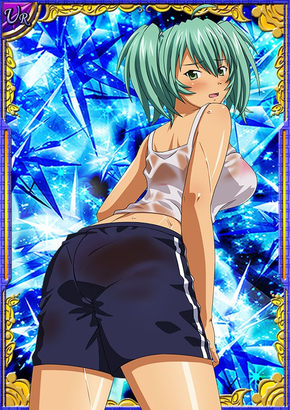 Ikkitousen Cards Coleccyion  Ryofu Housen set 358