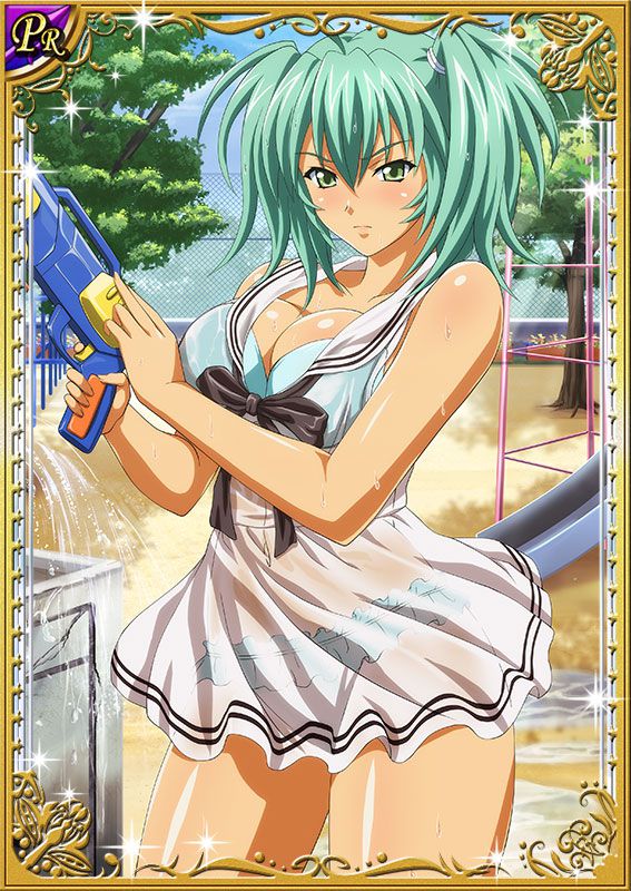 Ikkitousen Cards Coleccyion  Ryofu Housen set 36