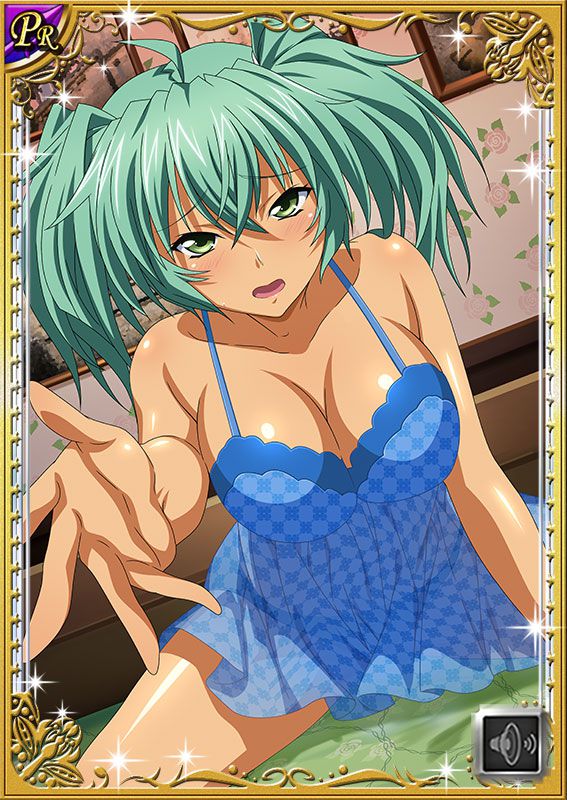 Ikkitousen Cards Coleccyion  Ryofu Housen set 363