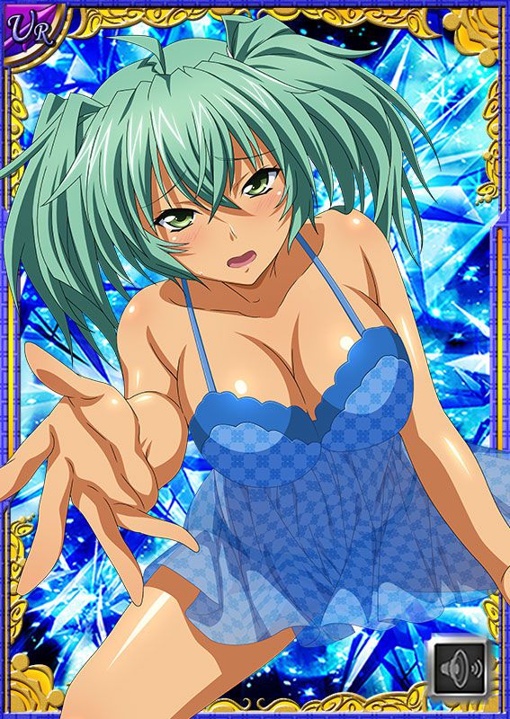 Ikkitousen Cards Coleccyion  Ryofu Housen set 365