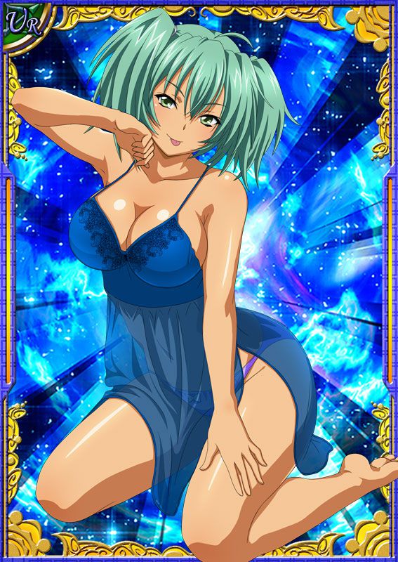 Ikkitousen Cards Coleccyion  Ryofu Housen set 367