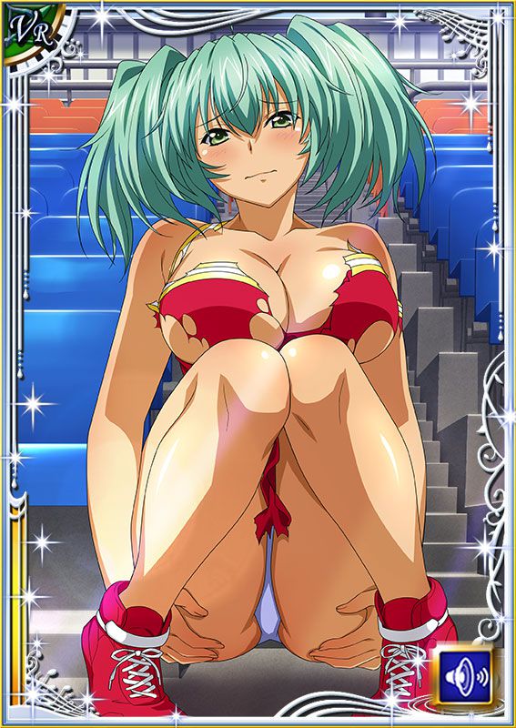 Ikkitousen Cards Coleccyion  Ryofu Housen set 370