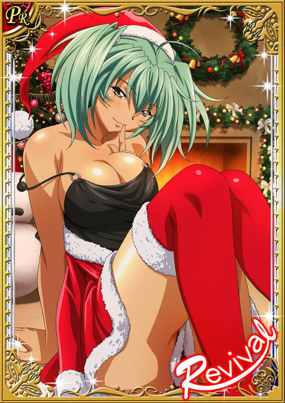 Ikkitousen Cards Coleccyion  Ryofu Housen set 375