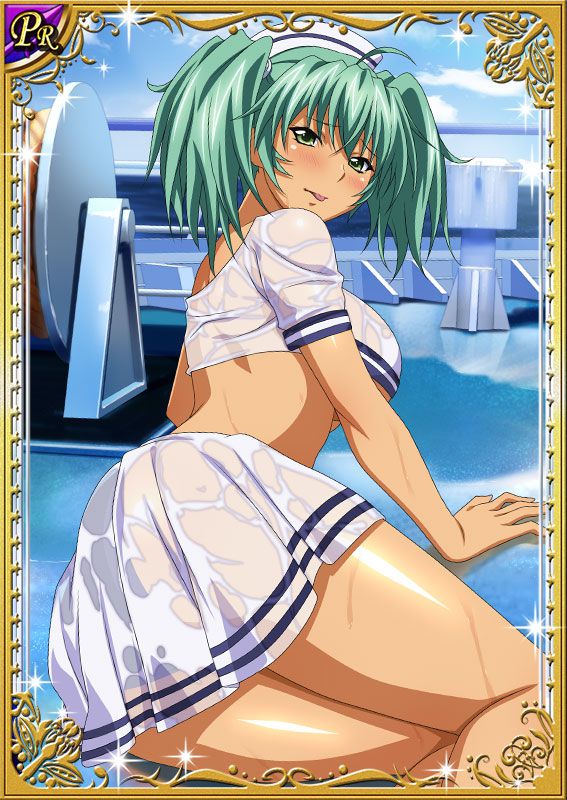 Ikkitousen Cards Coleccyion  Ryofu Housen set 377