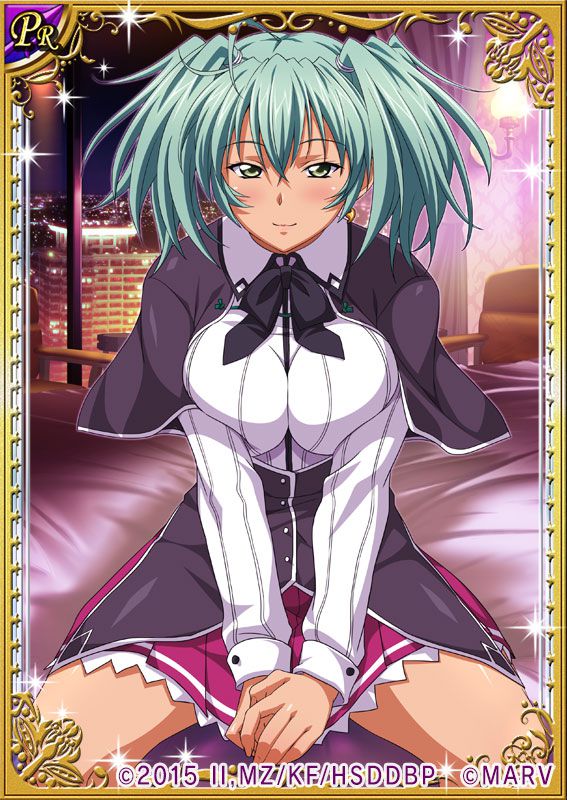 Ikkitousen Cards Coleccyion  Ryofu Housen set 380