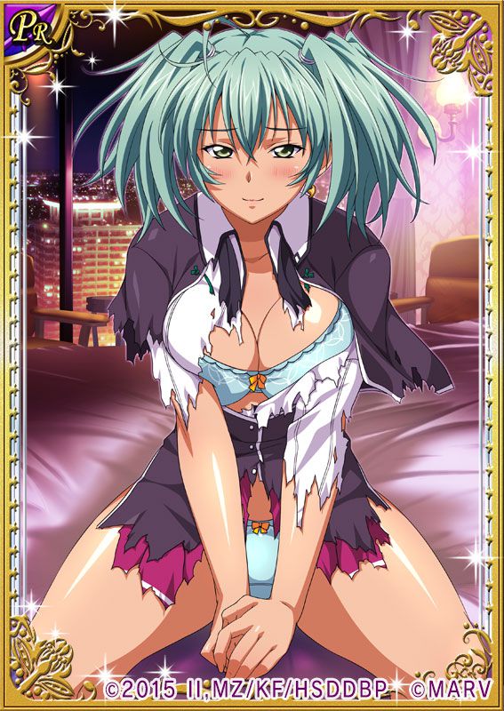 Ikkitousen Cards Coleccyion  Ryofu Housen set 381