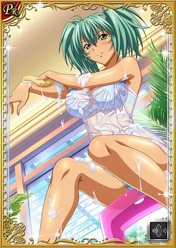 Ikkitousen Cards Coleccyion  Ryofu Housen set 382