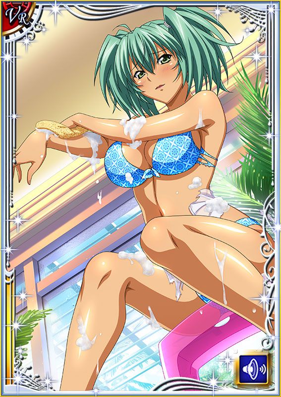 Ikkitousen Cards Coleccyion  Ryofu Housen set 384