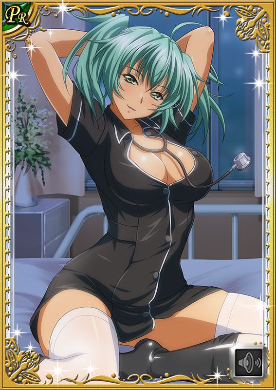 Ikkitousen Cards Coleccyion  Ryofu Housen set 385