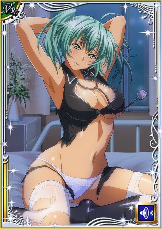 Ikkitousen Cards Coleccyion  Ryofu Housen set 387