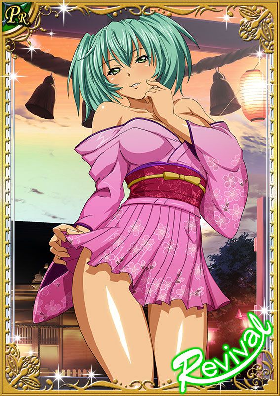 Ikkitousen Cards Coleccyion  Ryofu Housen set 388