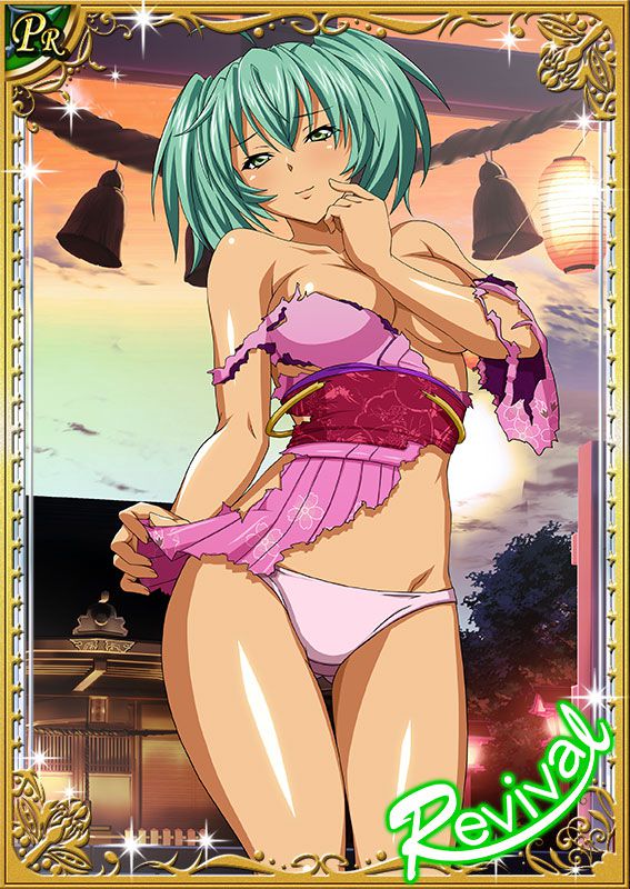 Ikkitousen Cards Coleccyion  Ryofu Housen set 389