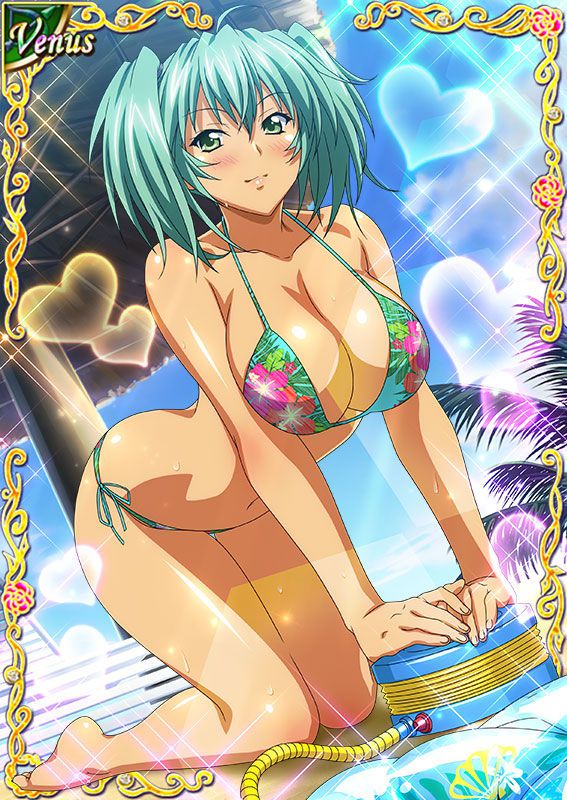 Ikkitousen Cards Coleccyion  Ryofu Housen set 390