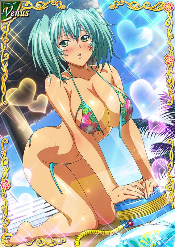 Ikkitousen Cards Coleccyion  Ryofu Housen set 391