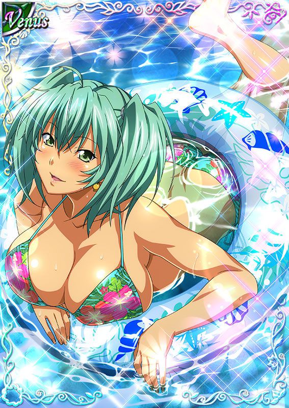 Ikkitousen Cards Coleccyion  Ryofu Housen set 392