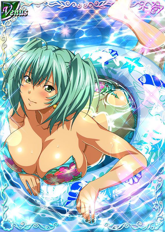 Ikkitousen Cards Coleccyion  Ryofu Housen set 393