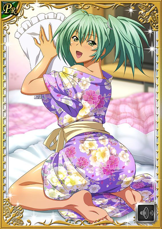 Ikkitousen Cards Coleccyion  Ryofu Housen set 394