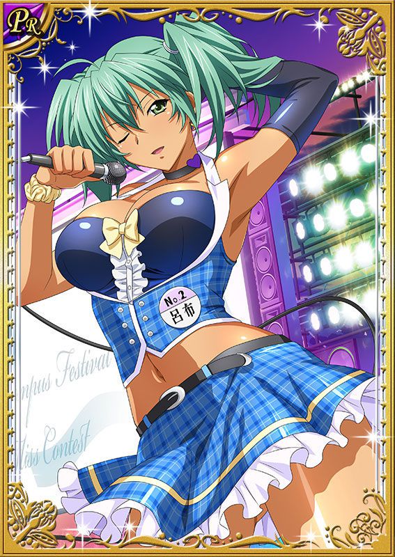 Ikkitousen Cards Coleccyion  Ryofu Housen set 397