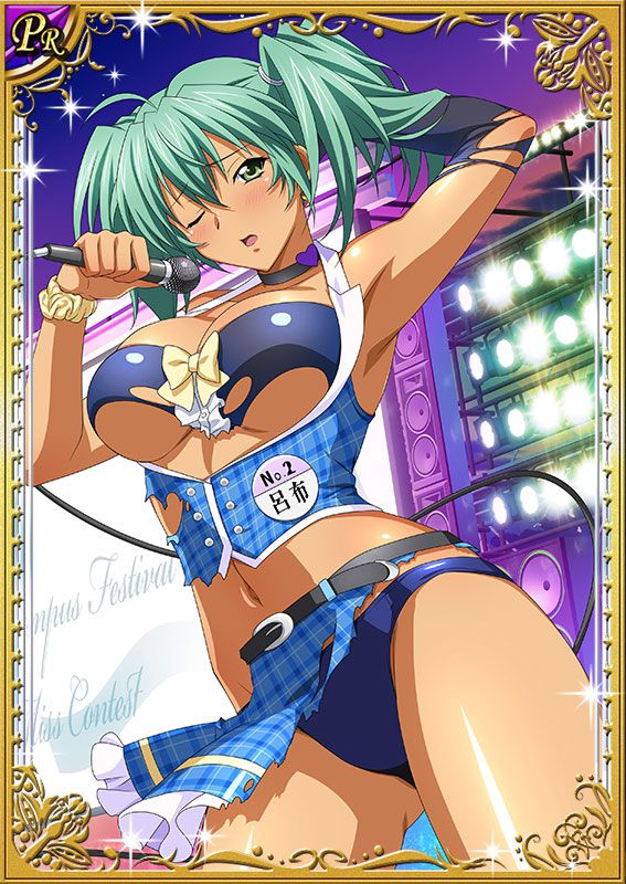 Ikkitousen Cards Coleccyion  Ryofu Housen set 398