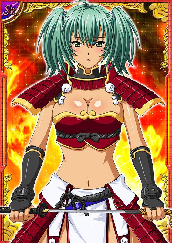 Ikkitousen Cards Coleccyion  Ryofu Housen set 40