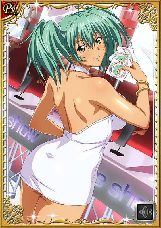 Ikkitousen Cards Coleccyion  Ryofu Housen set 400