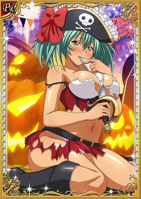 Ikkitousen Cards Coleccyion  Ryofu Housen set 403