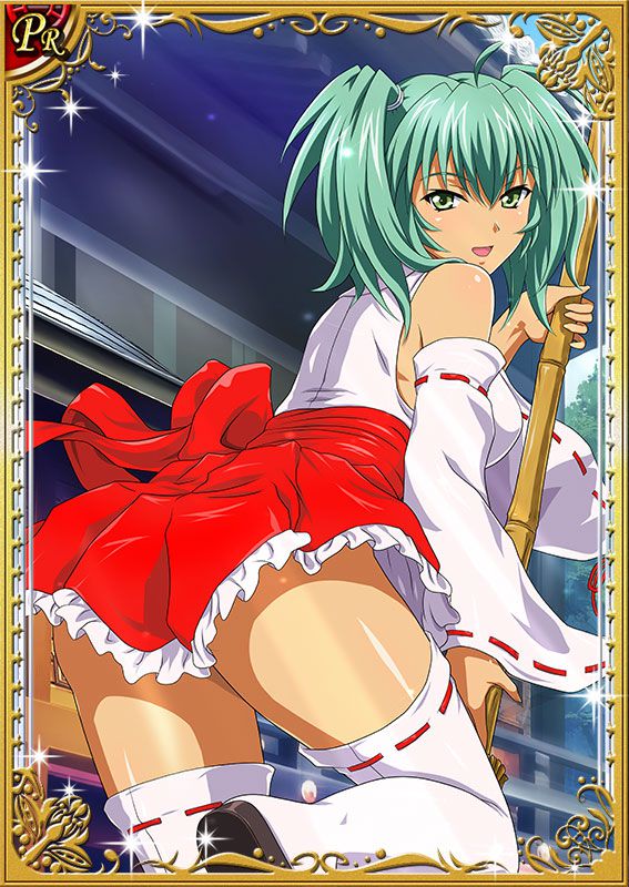 Ikkitousen Cards Coleccyion  Ryofu Housen set 404