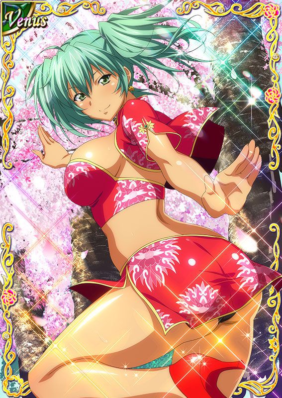 Ikkitousen Cards Coleccyion  Ryofu Housen set 413