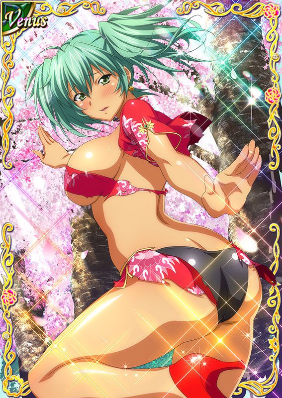 Ikkitousen Cards Coleccyion  Ryofu Housen set 414