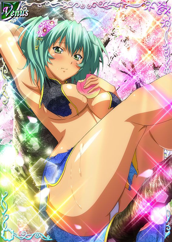 Ikkitousen Cards Coleccyion  Ryofu Housen set 416