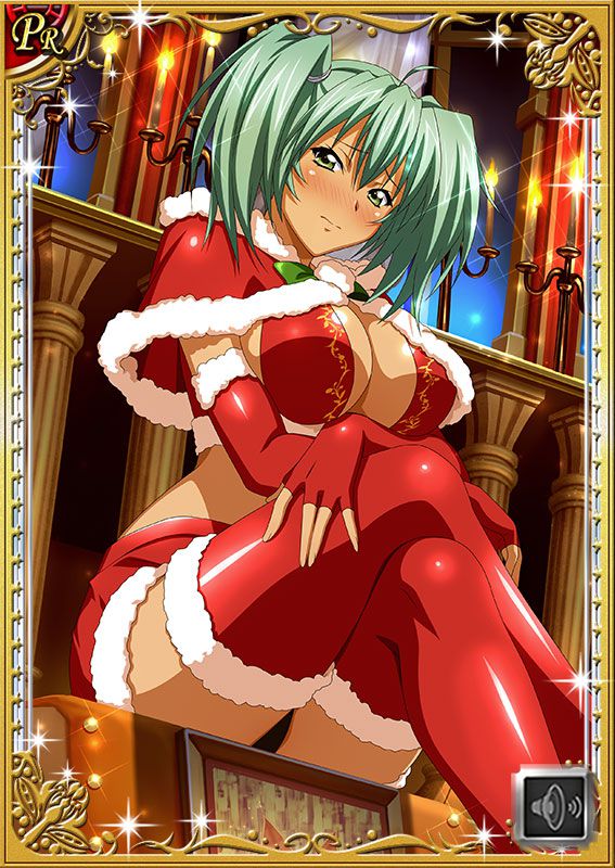 Ikkitousen Cards Coleccyion  Ryofu Housen set 419