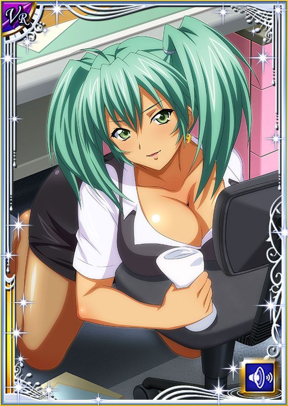 Ikkitousen Cards Coleccyion  Ryofu Housen set 426