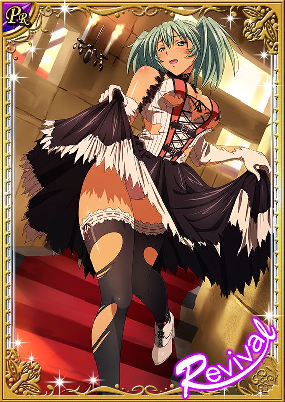 Ikkitousen Cards Coleccyion  Ryofu Housen set 429