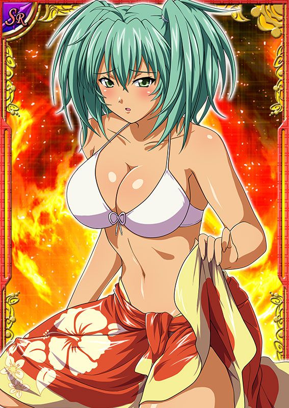 Ikkitousen Cards Coleccyion  Ryofu Housen set 43