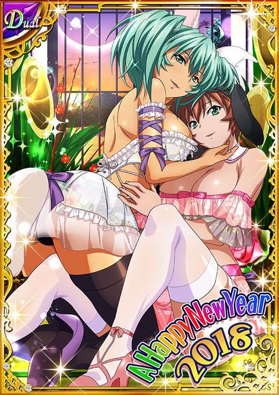 Ikkitousen Cards Coleccyion  Ryofu Housen set 430