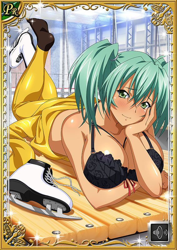 Ikkitousen Cards Coleccyion  Ryofu Housen set 439