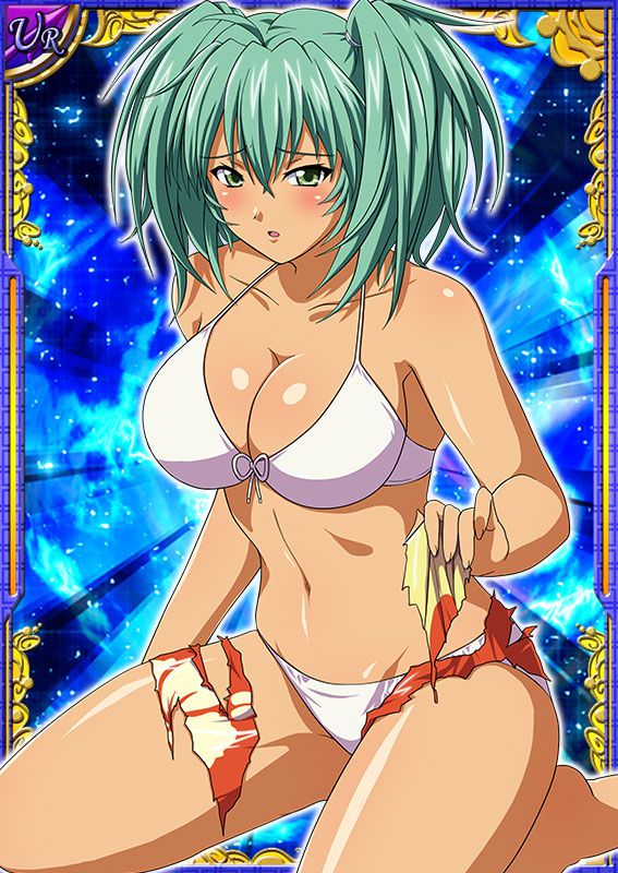 Ikkitousen Cards Coleccyion  Ryofu Housen set 44