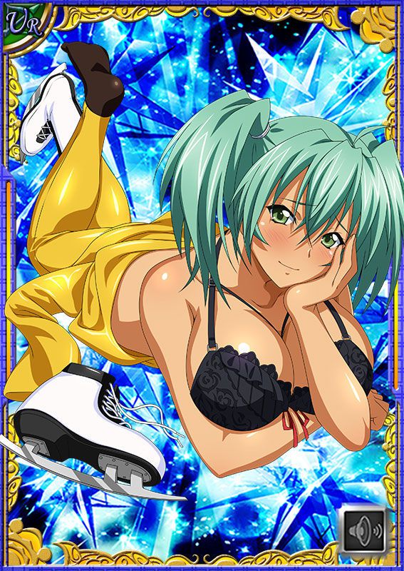 Ikkitousen Cards Coleccyion  Ryofu Housen set 441