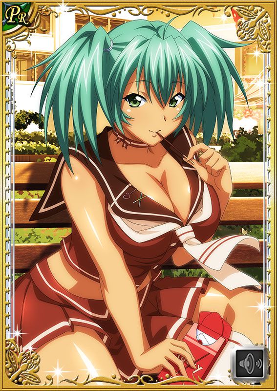 Ikkitousen Cards Coleccyion  Ryofu Housen set 446