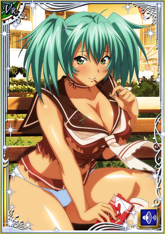 Ikkitousen Cards Coleccyion  Ryofu Housen set 448