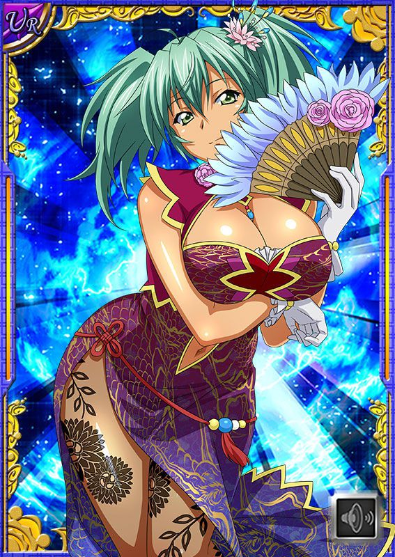 Ikkitousen Cards Coleccyion  Ryofu Housen set 449