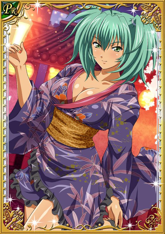 Ikkitousen Cards Coleccyion  Ryofu Housen set 45