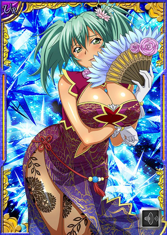 Ikkitousen Cards Coleccyion  Ryofu Housen set 450