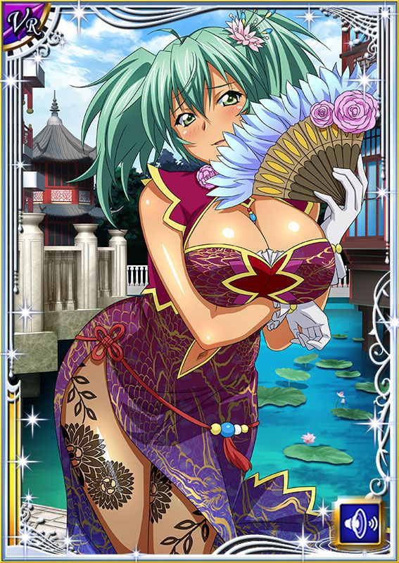 Ikkitousen Cards Coleccyion  Ryofu Housen set 451