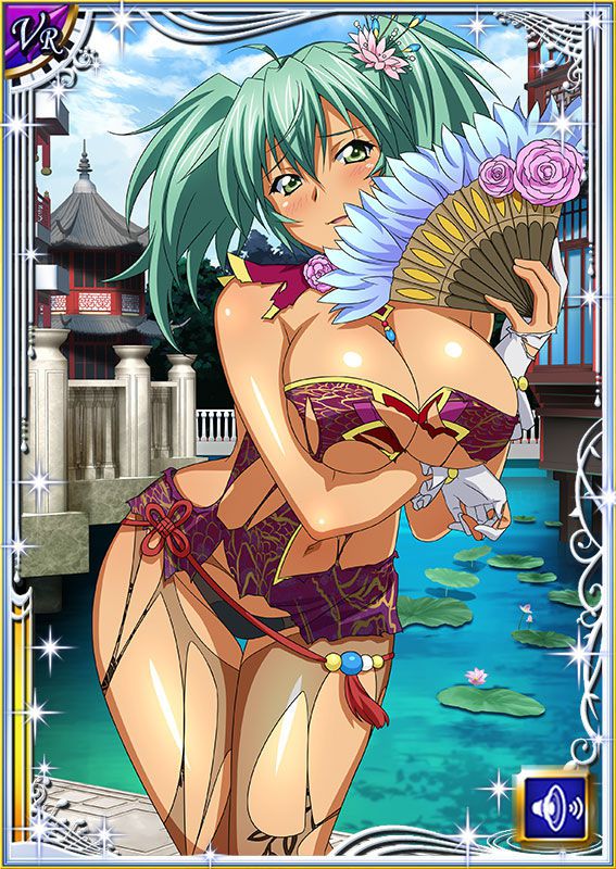 Ikkitousen Cards Coleccyion  Ryofu Housen set 452