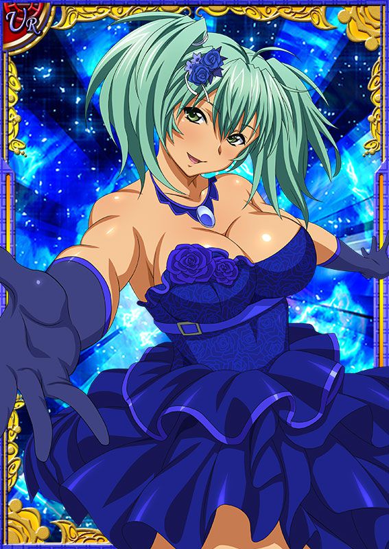 Ikkitousen Cards Coleccyion  Ryofu Housen set 453