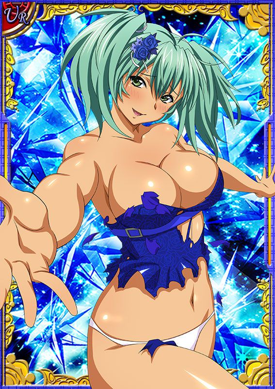 Ikkitousen Cards Coleccyion  Ryofu Housen set 454